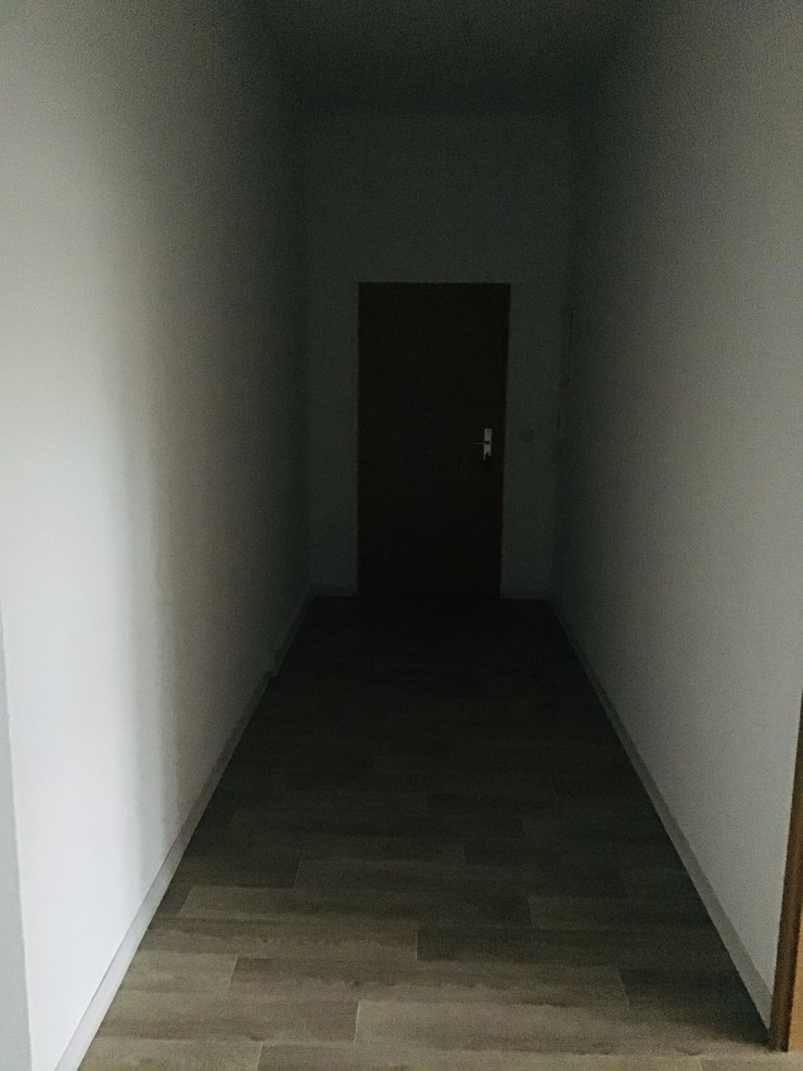 Wohnungstyp Hannes